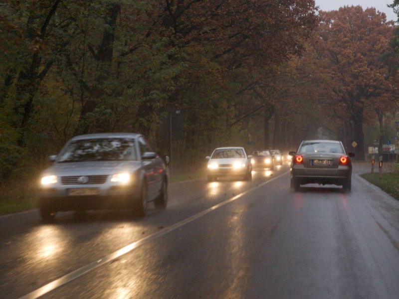 Auto Straße Herbst dunkel