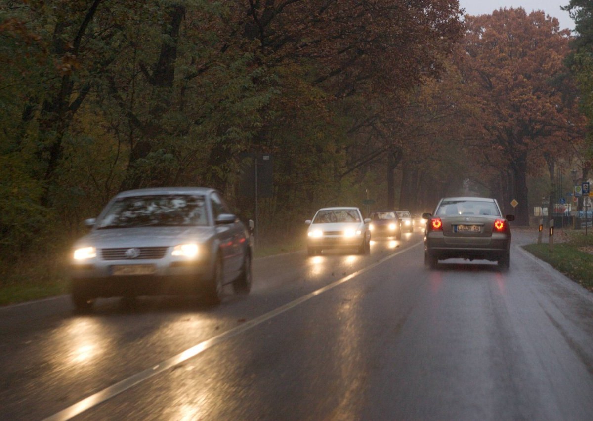 Auto Straße Herbst dunkel