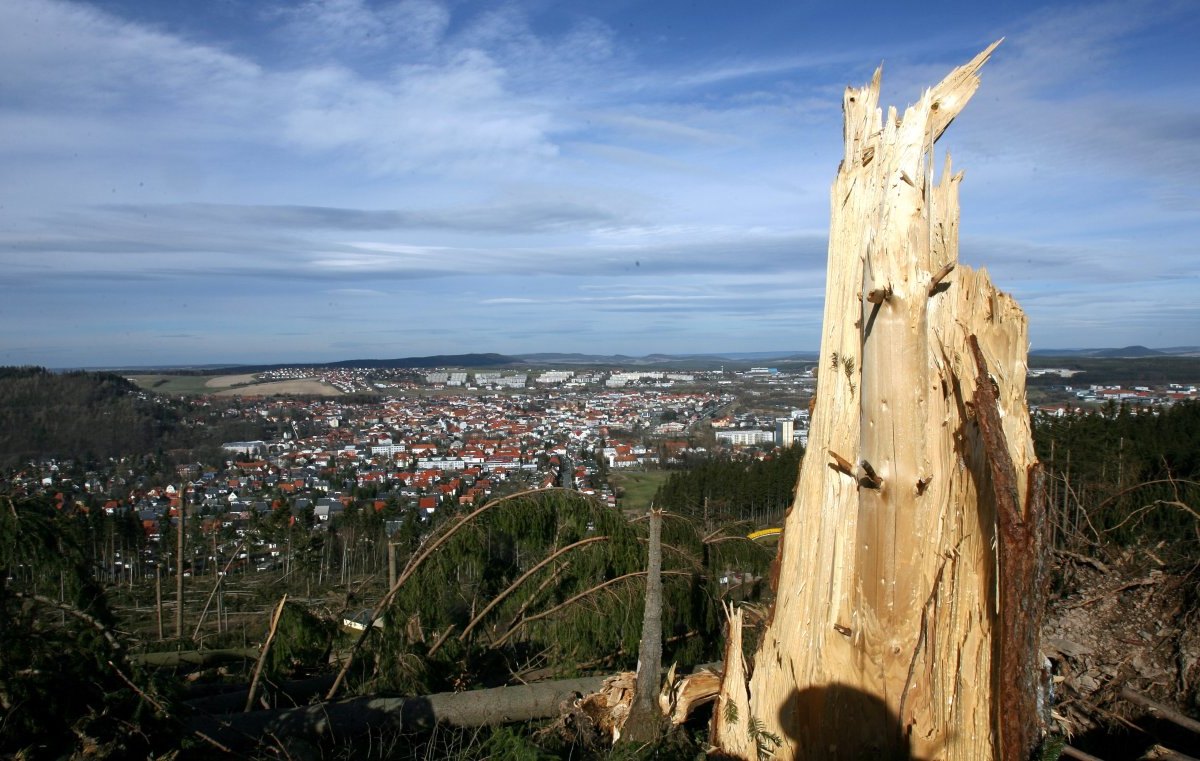 Thüringer Wald.jpg