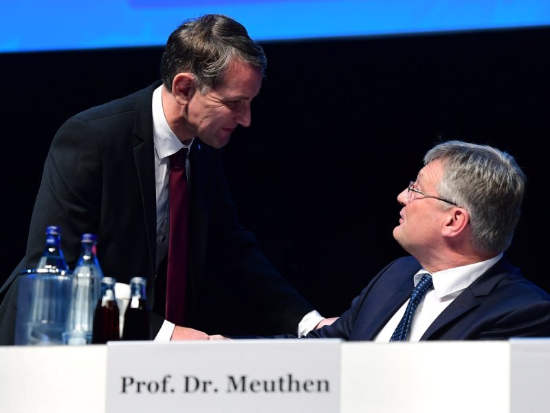 afd thüringen höcke meuthen