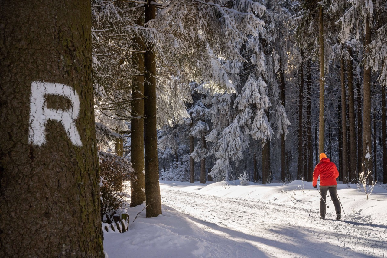 Im Thüringer Wald sind die Loipen kilometerweit gespurt. (Symbolbild)