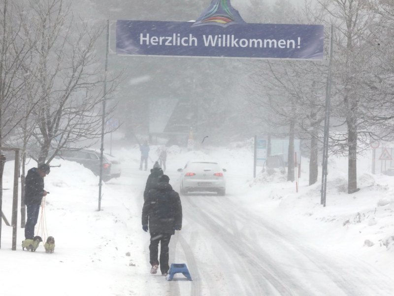 thüringer wald.jpg