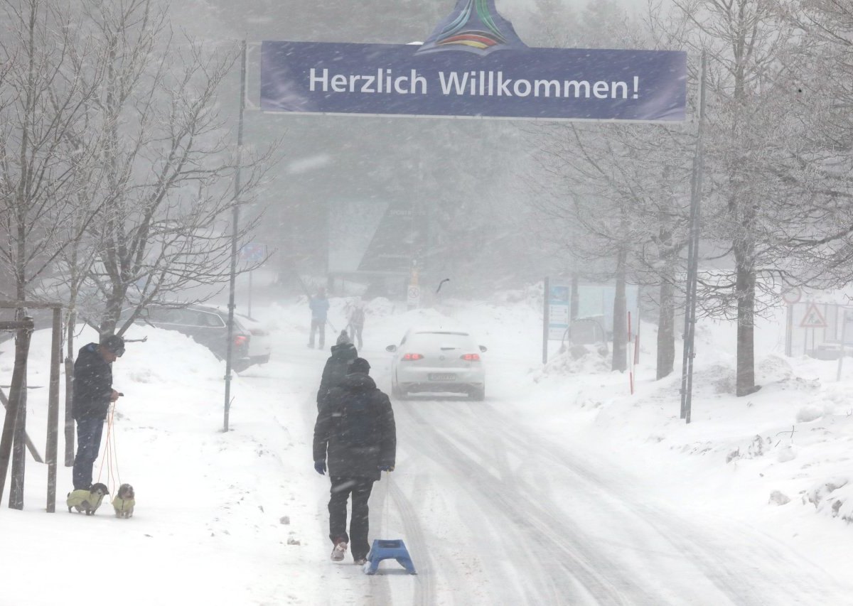 thüringer wald.jpg