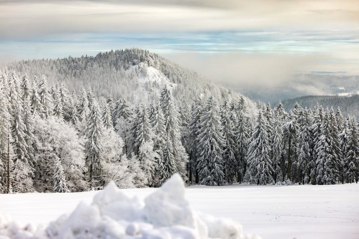 In Thüringen ist Tauwetter angesagt! Gibt es trotzdem noch Hoffnung auf weiße Weihnachten?