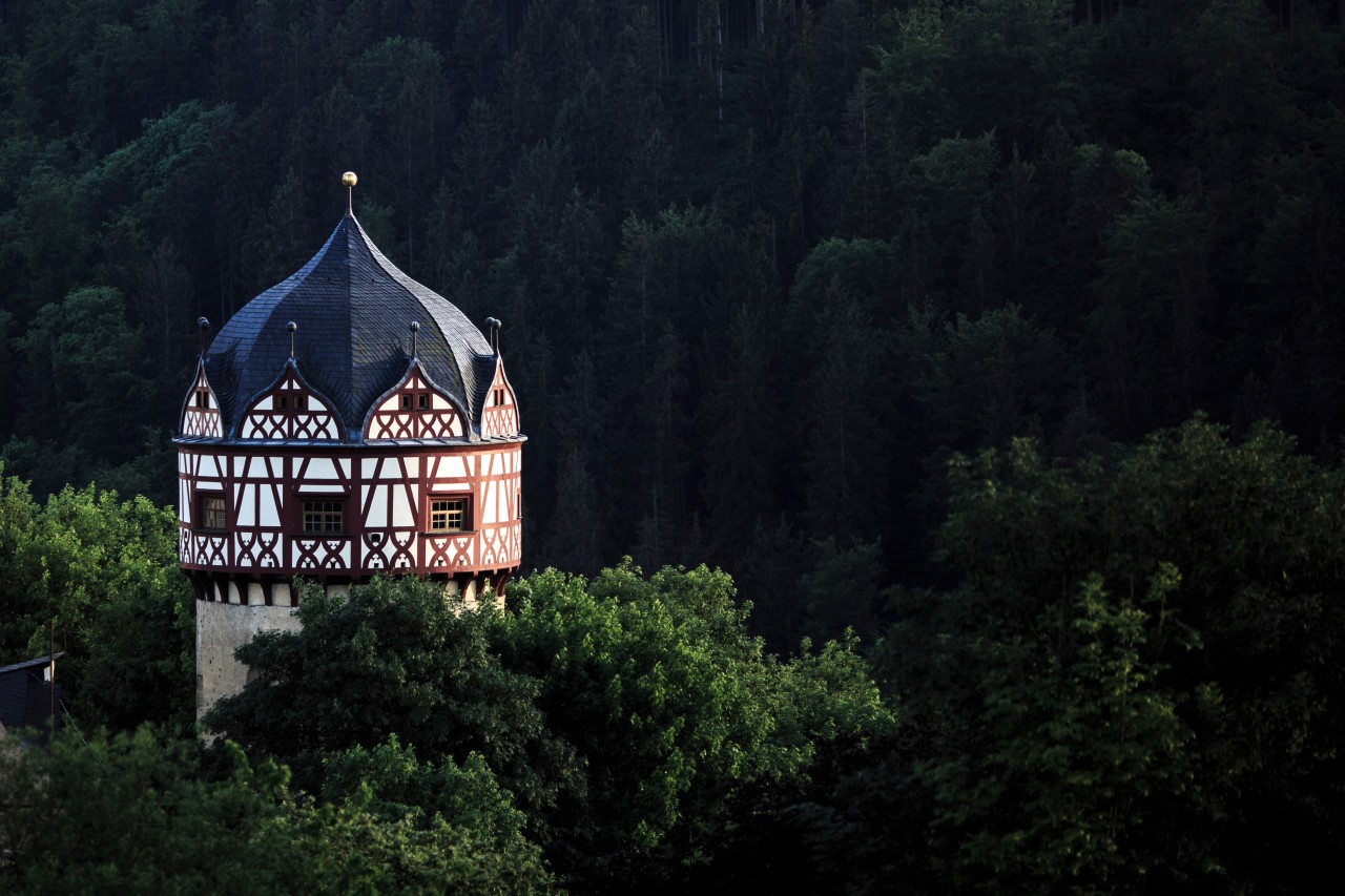 Bodo Ramelow zieht sich gerne in den Wald im Saale-Orla-Kreis zurück. (Symbolbild)