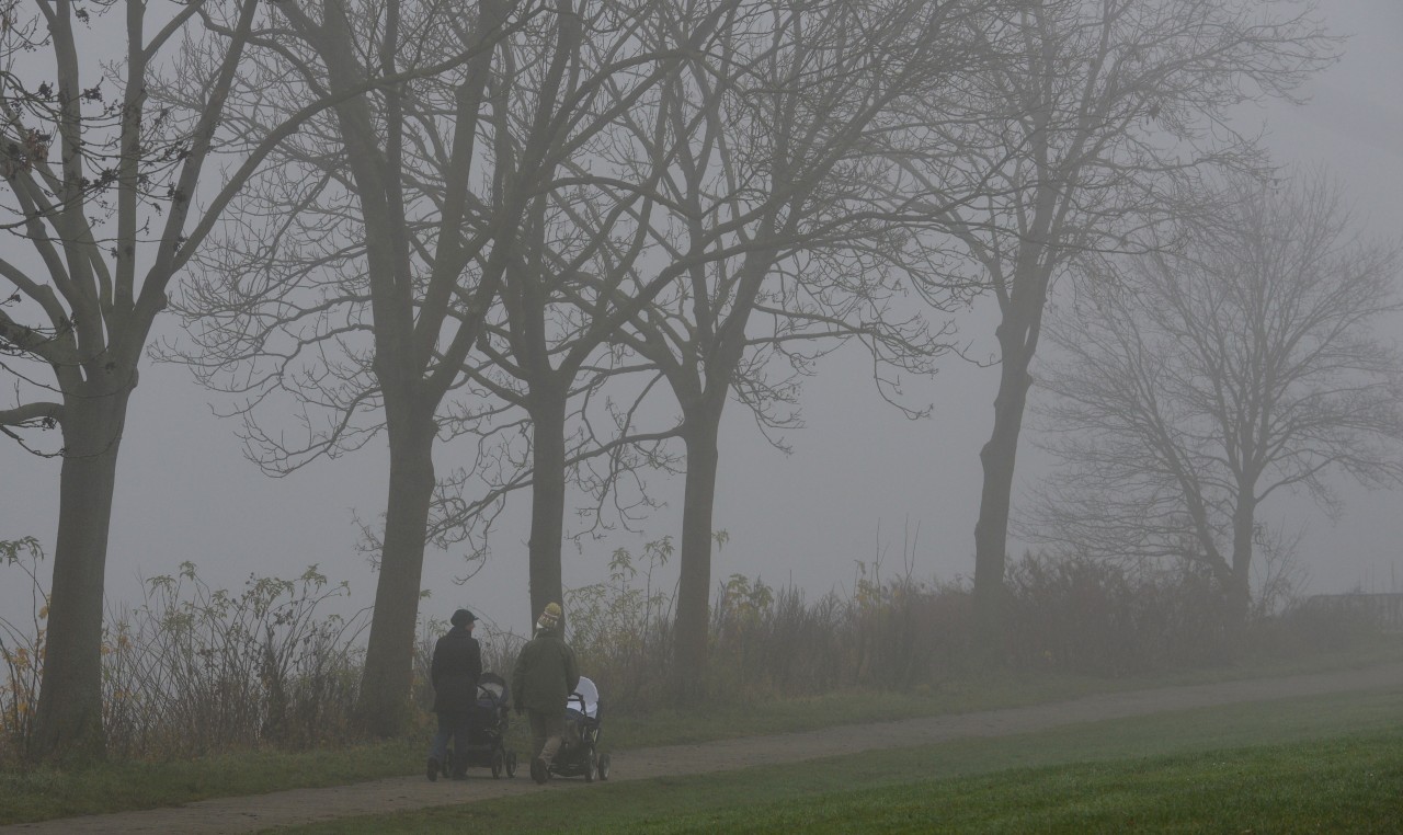 Laut Einschätzung von Experten soll das Wetter in Thüringen am Wochenende nasskalt werden. (Symbolbild)