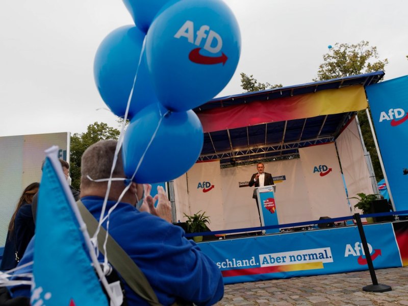 AfD.jpg