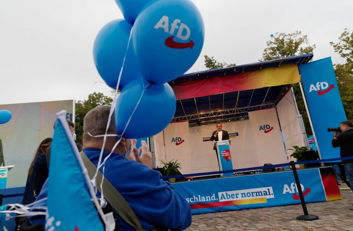 AfD.jpg