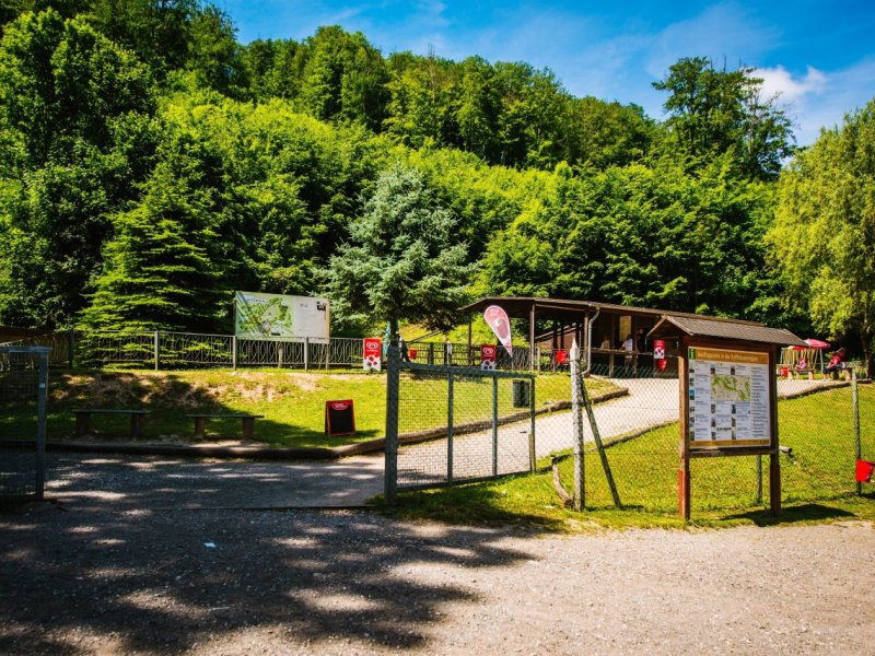 Affenwald Straußberg.jpg