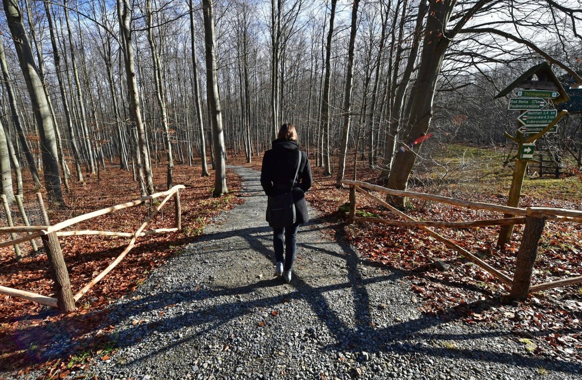 Bad Berka Friedhof im Wald