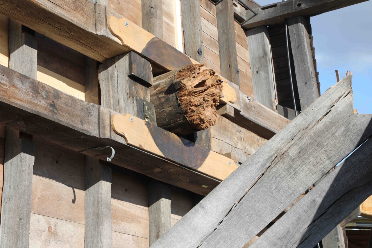 Die Bockwindmühle Klettbach sucht quasi einen Stamm-Spender...