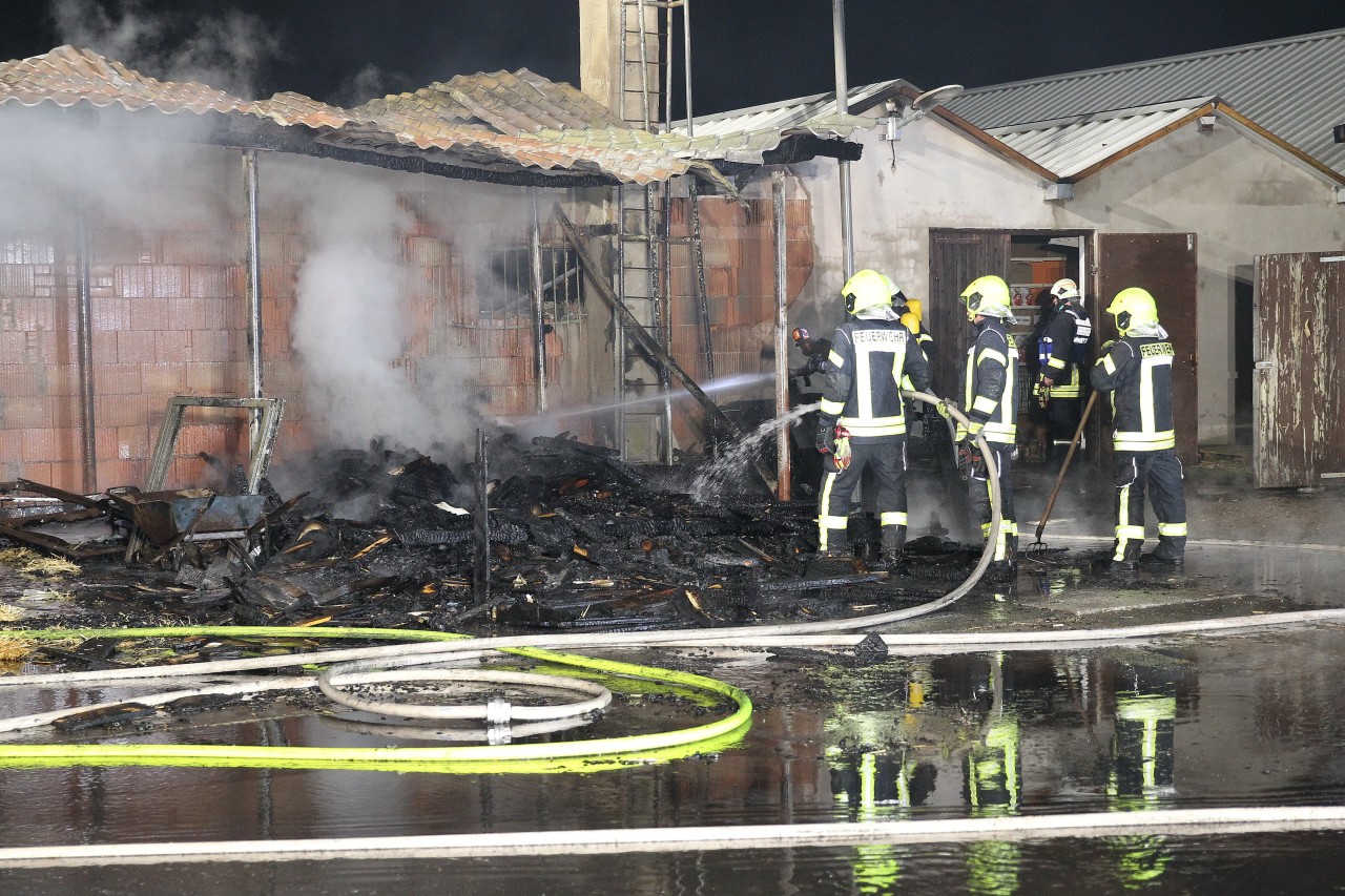 70 Feuerwehrleute bekämpften das Flammeninferno in Thüringen. 