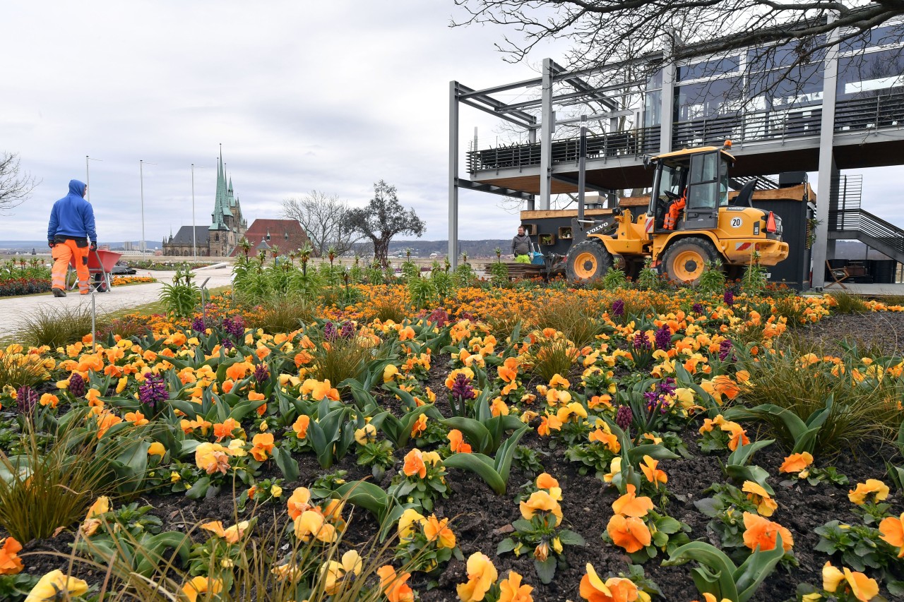 Die Arbeiten für die geplante Eröffnung der Buga Erfurt sind am Donnerstag noch im Gange. 