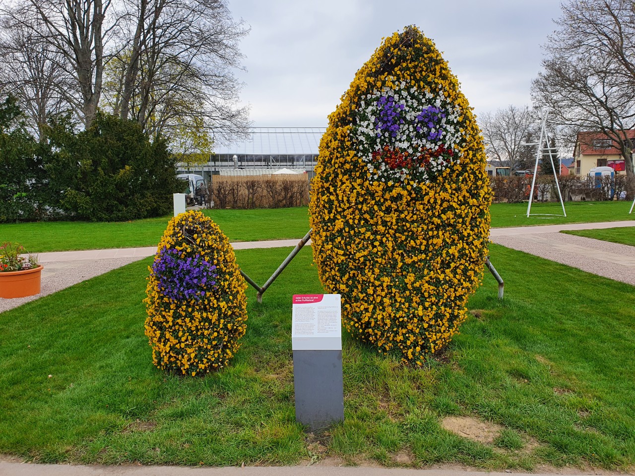 Die Erfurter Puffbohne im Blumenkleid ist eines der Highlights der Buga in Erfurt! Was du noch unbedingt gesehen haben musst, verraten wir dir hier. 