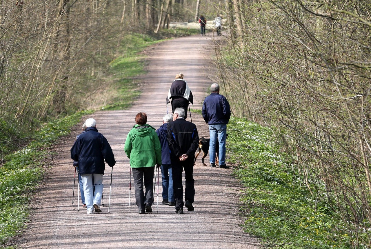 Im Steigerwald in Erfurt haben am Wochenende mehrere Erfurter „aufgeräumt“. (Archivbild)