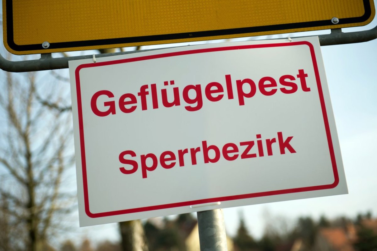 Geflügelpest Sperrbezirk Vogelgrippe