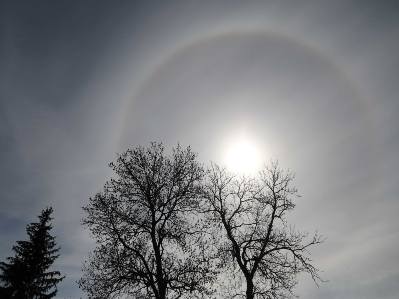 Halo