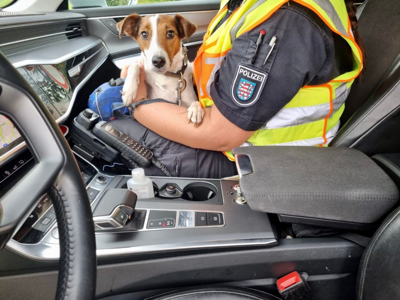 Die Hündin erschreckte auf der A9 einige Autofahrer. 