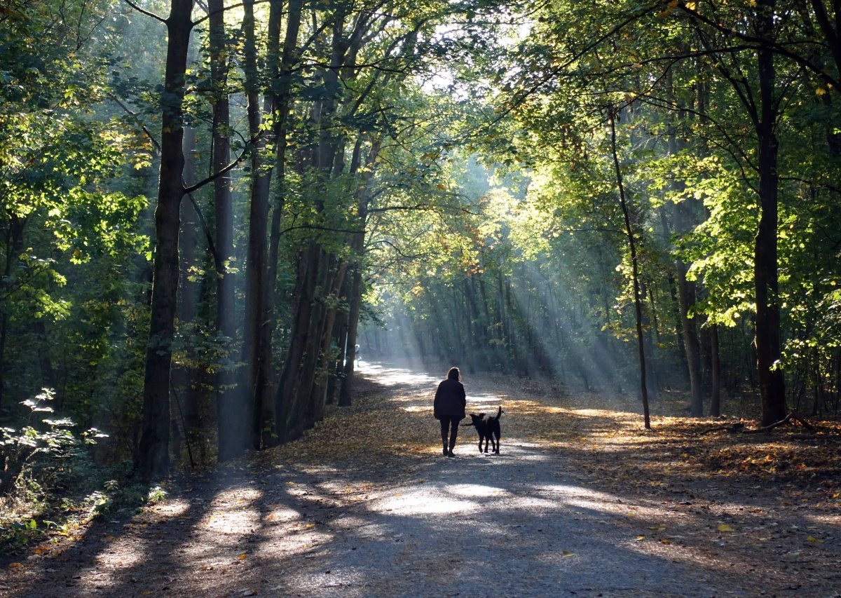 Hund-Erfurt-Steigerwald