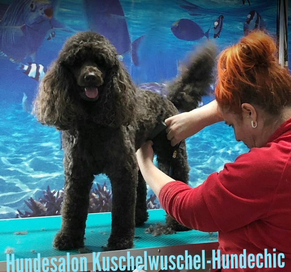 Hundesalon Erfurt.jpg