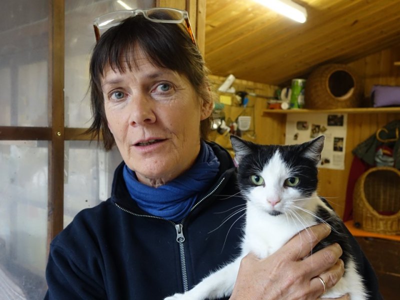 Juliane Lukas mit einer einjährigen Fundkatze Tierschutzverein Jena