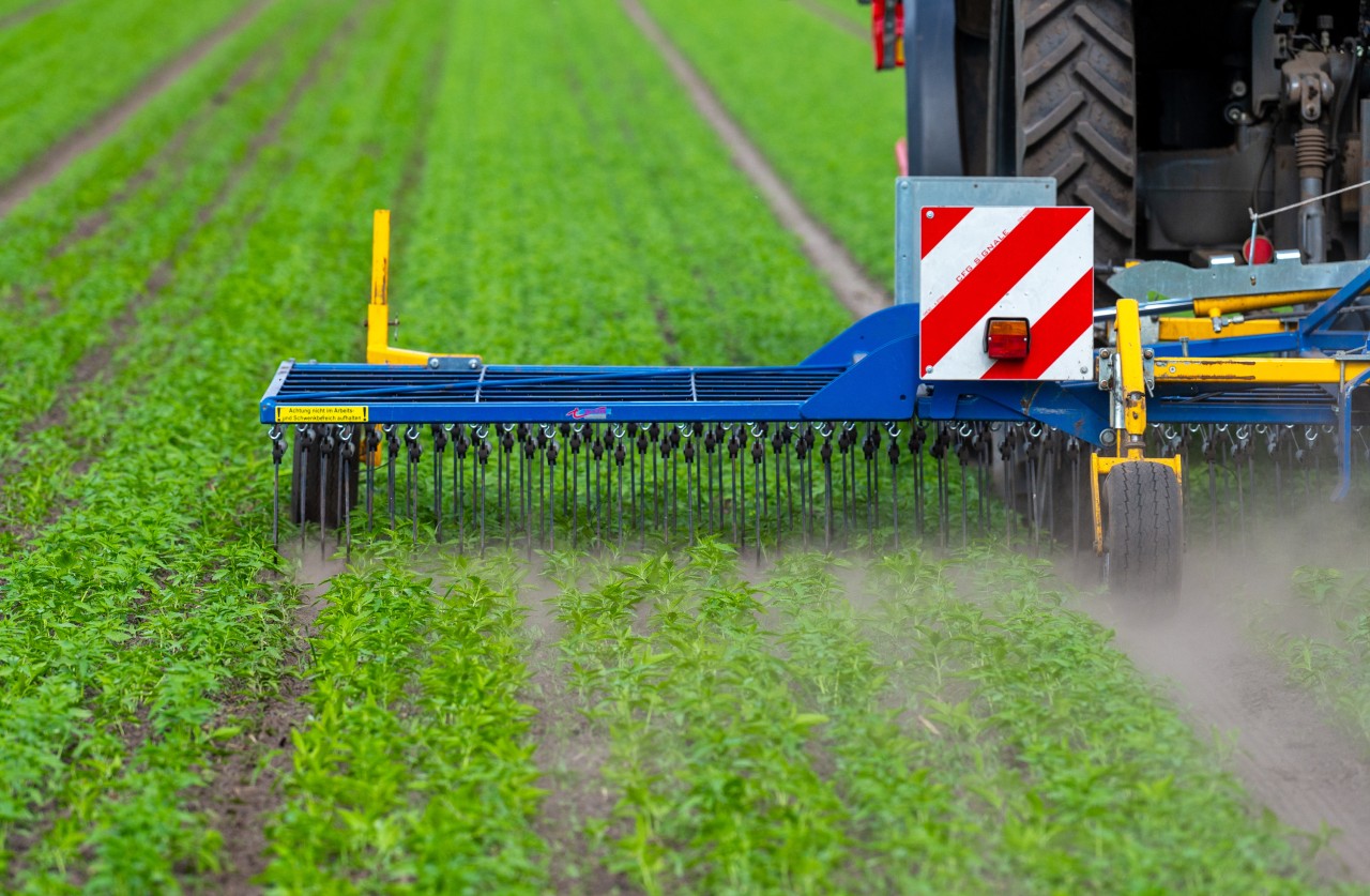 Banken, Fonds und Großinvestoren kaufen den Bauern Agrarland weg – dieses Problem will Bodo Ramelow nun angehen. (Symbolbild)