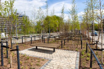 Der Gothaer Platz in Erfurt wurde neu bepflanzt.