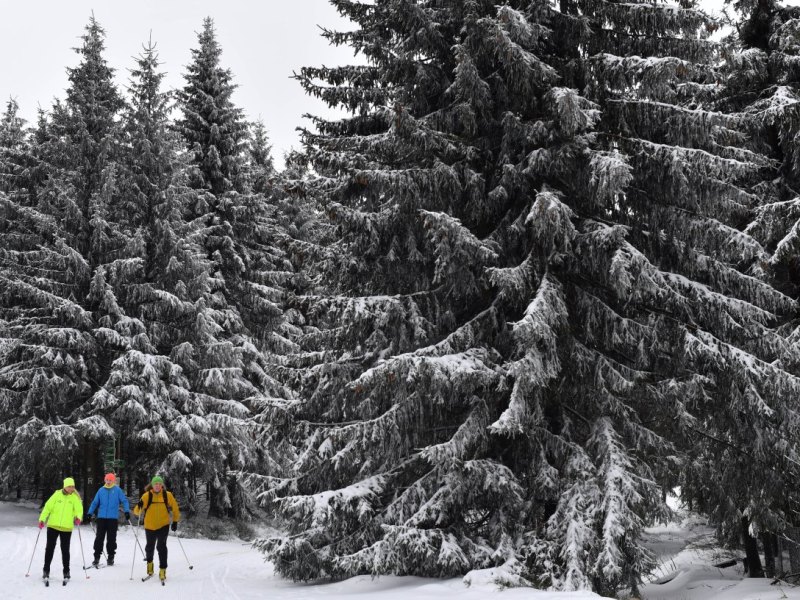 Skifahrer im Thüringer Wald