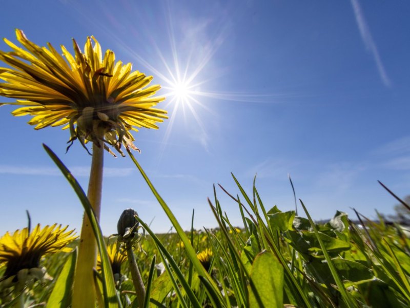 Sommer