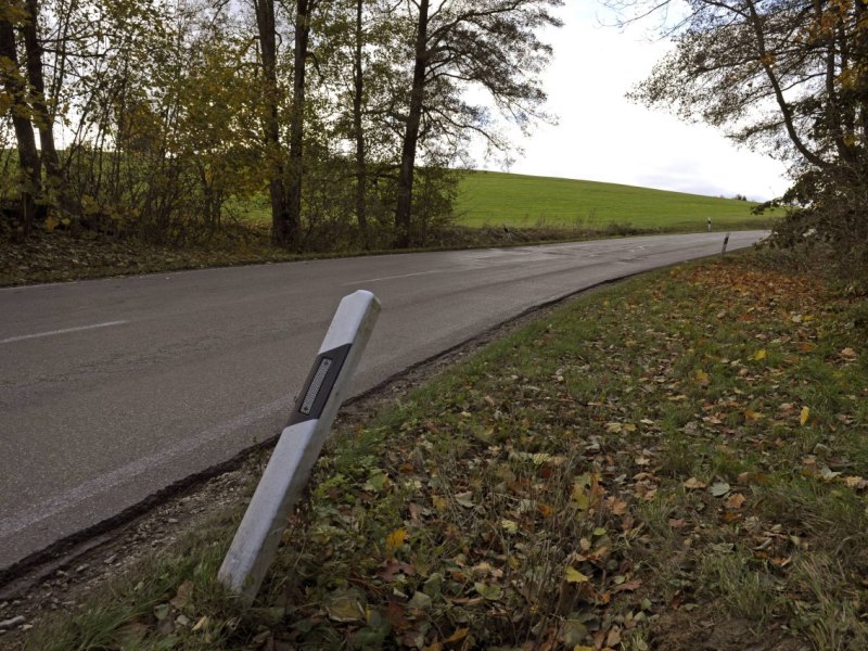 Straße Bäume Leitpfosten