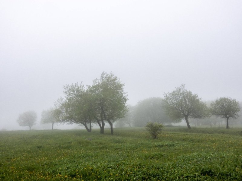 Thüringen Wetter