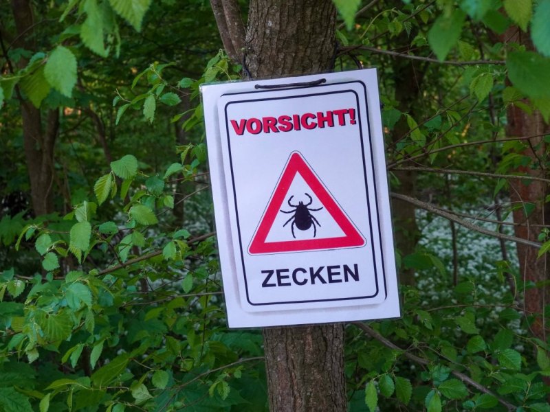 Thüringen-Zecken