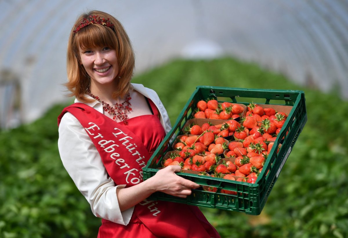 Thüringens Erdbeerkönigin Carolin Leefers Erdbeeren