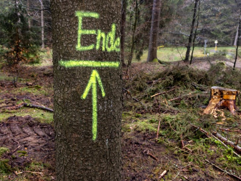 Thüringer Wald.jpg