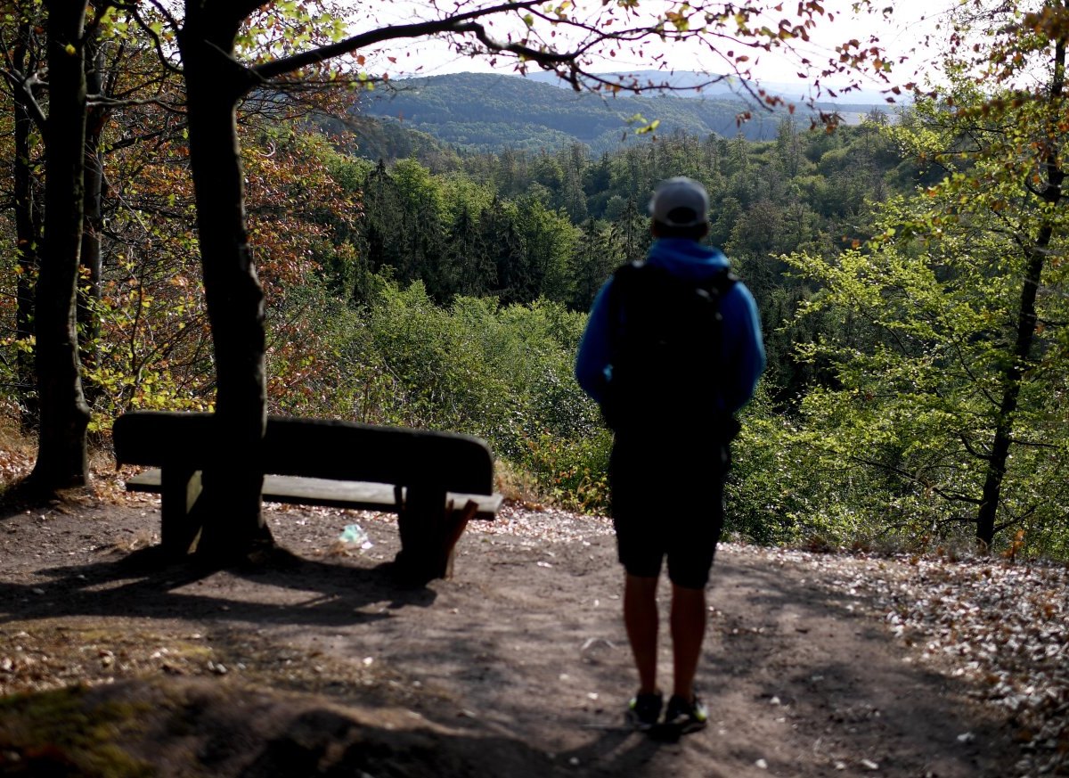 Thüringer-Wald