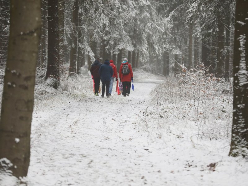 Thüringer-Wald-Schnee