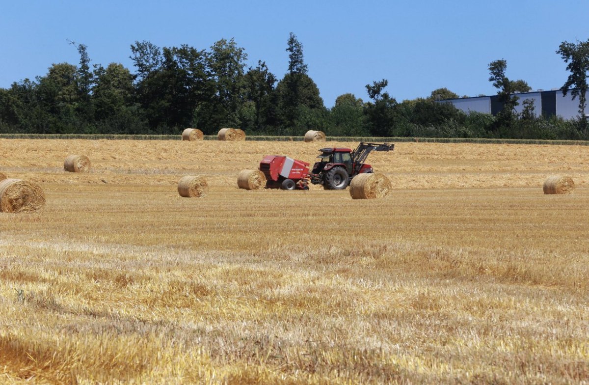 Traktor bei der Ernte