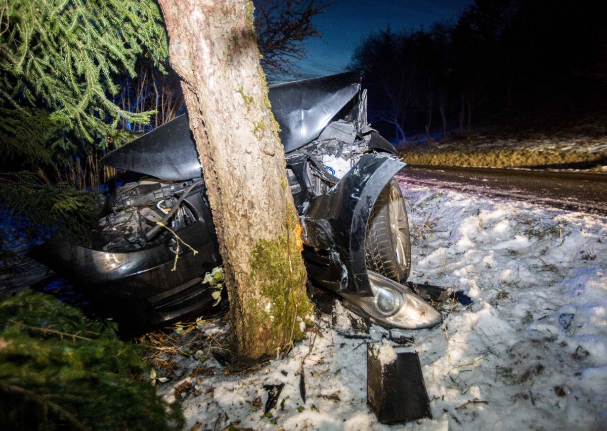 Unfall_Baum