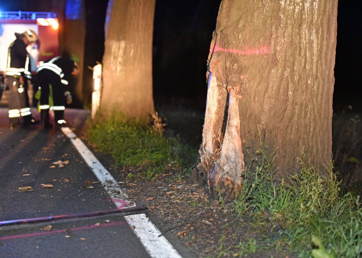 Unfall mit Baum