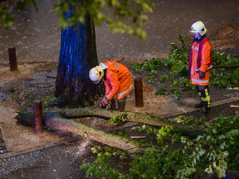 Am Freitag (17.08.2018) ist ein Unwetter über Teile Thüringens gezogen, besonders betroffen war unter anderem Weimar.