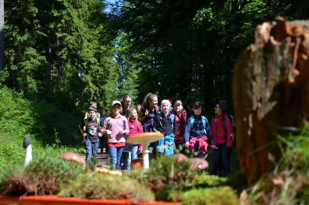 Waldjugendspiele Thüringen