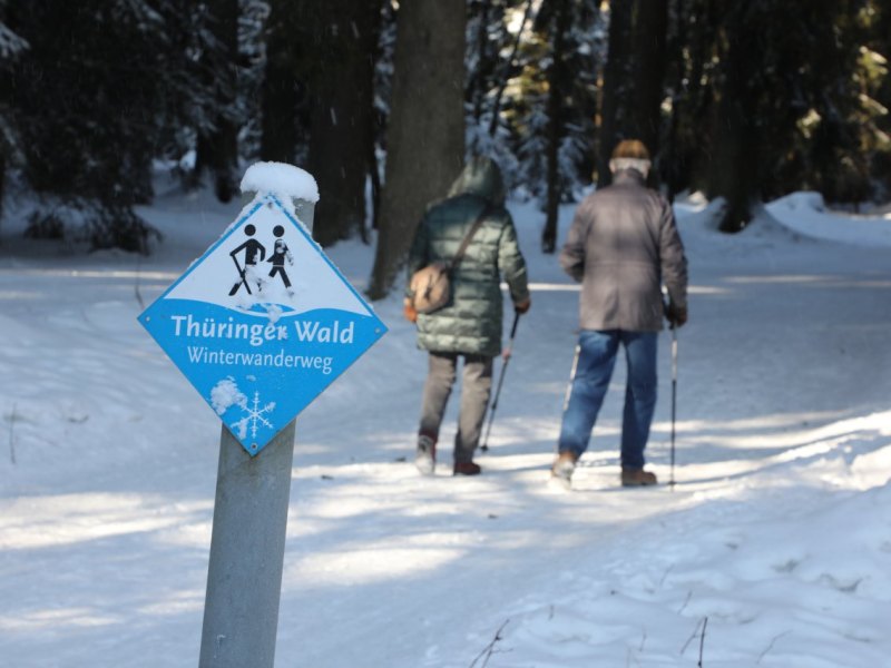 Wandern Thüringer Wald