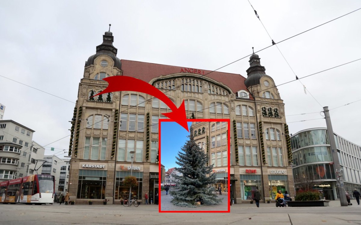 Weihacntsbaum Erfurt am Anger1 unverpixelt.jpg