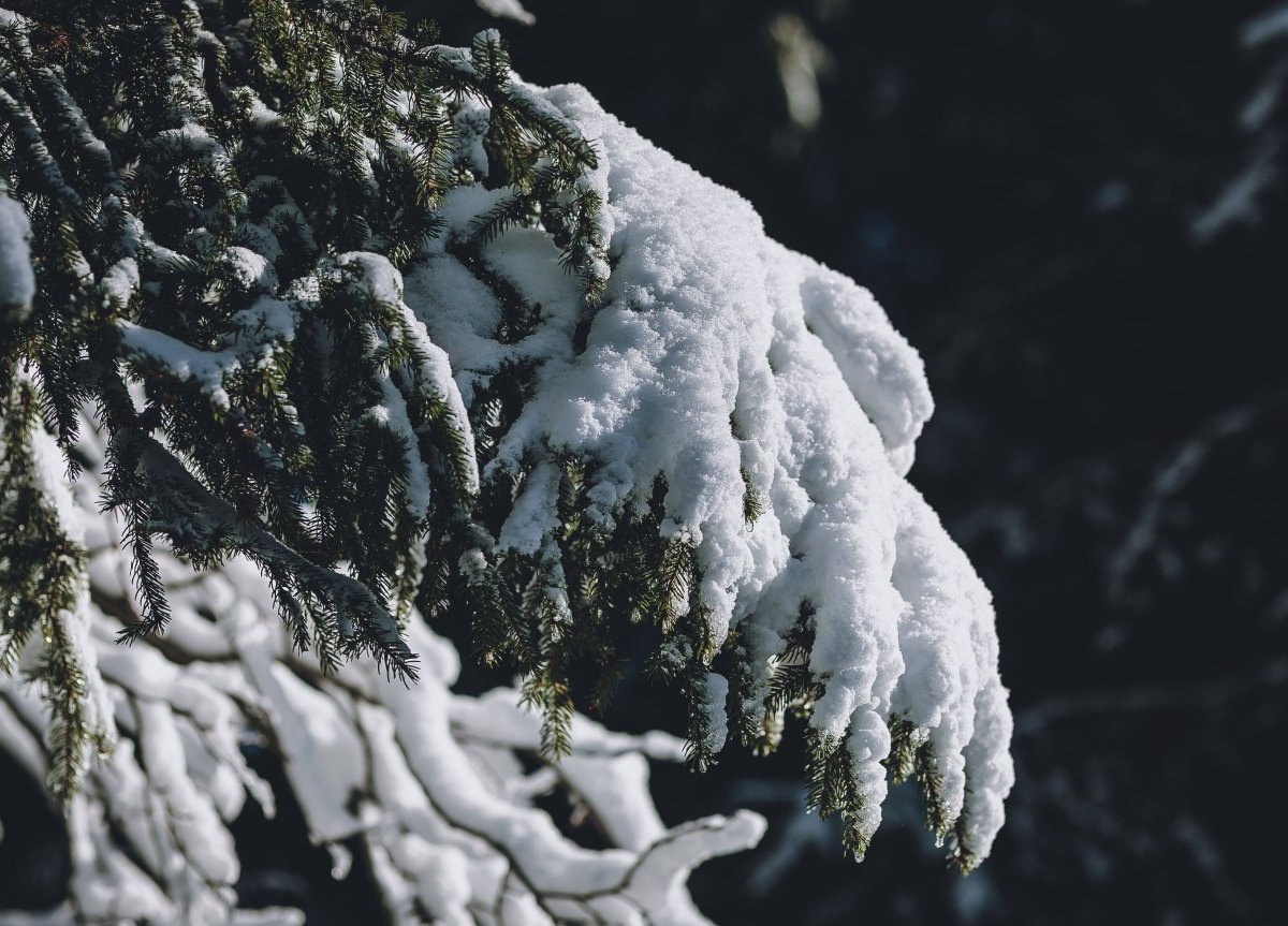 Wetter-Thüringen-Schnee