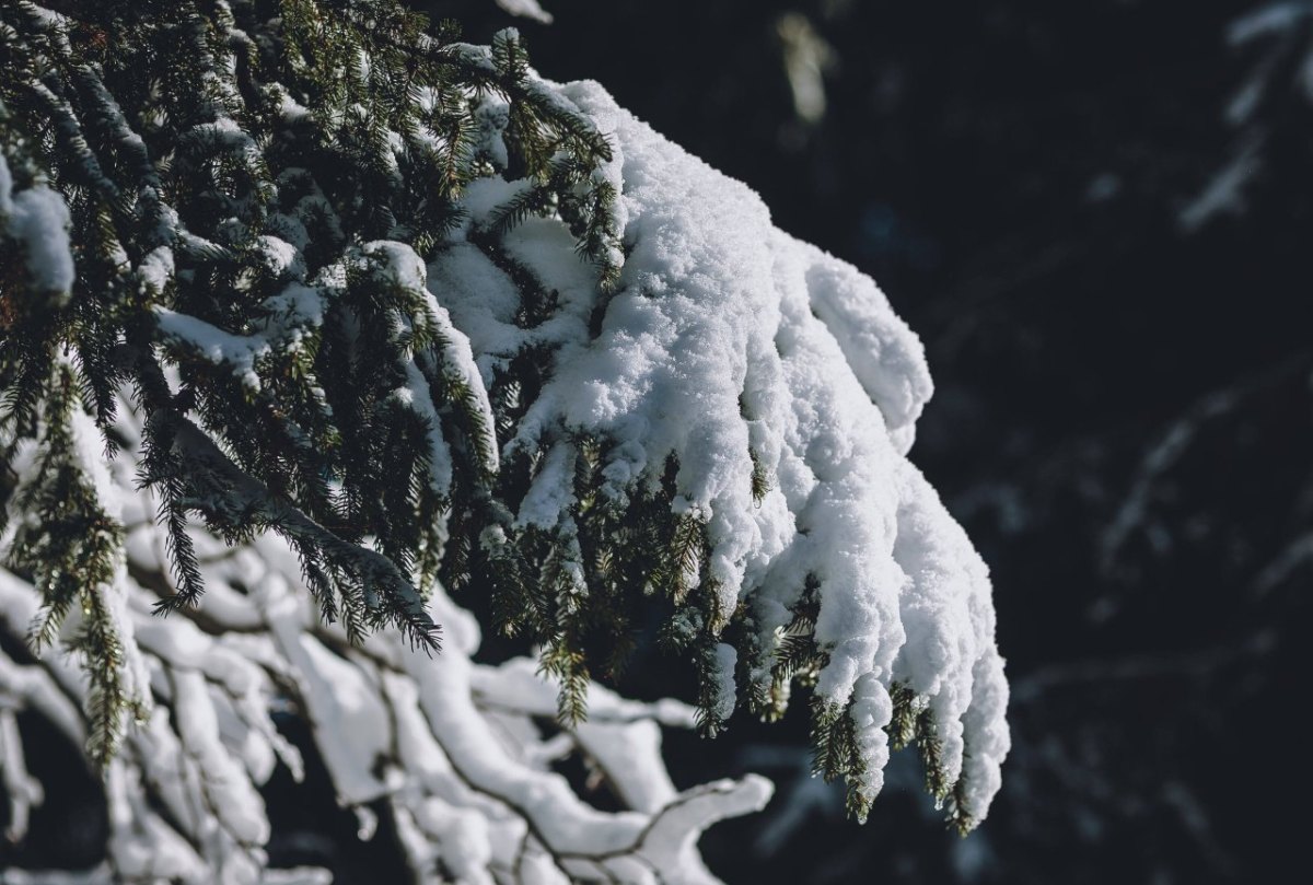 Wetter-Thüringen-Schnee