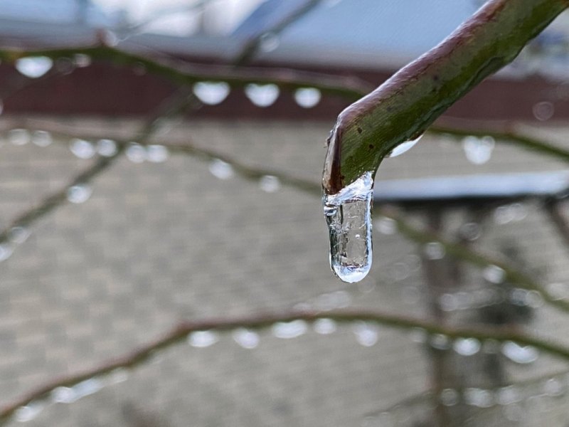 Wetter in Thüringen