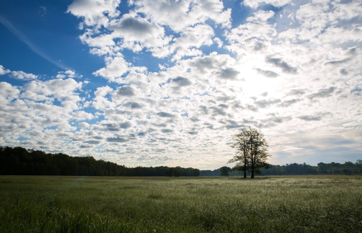 Wetter in Thüringen Sommer warm 20 Grad wie wird das wetter Erfurt