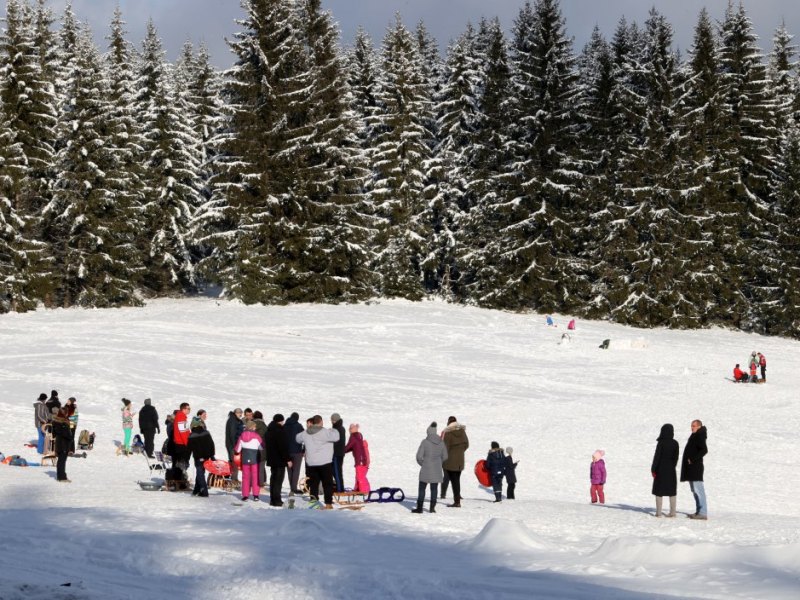Wintersport im Thüringer Wald.jpg