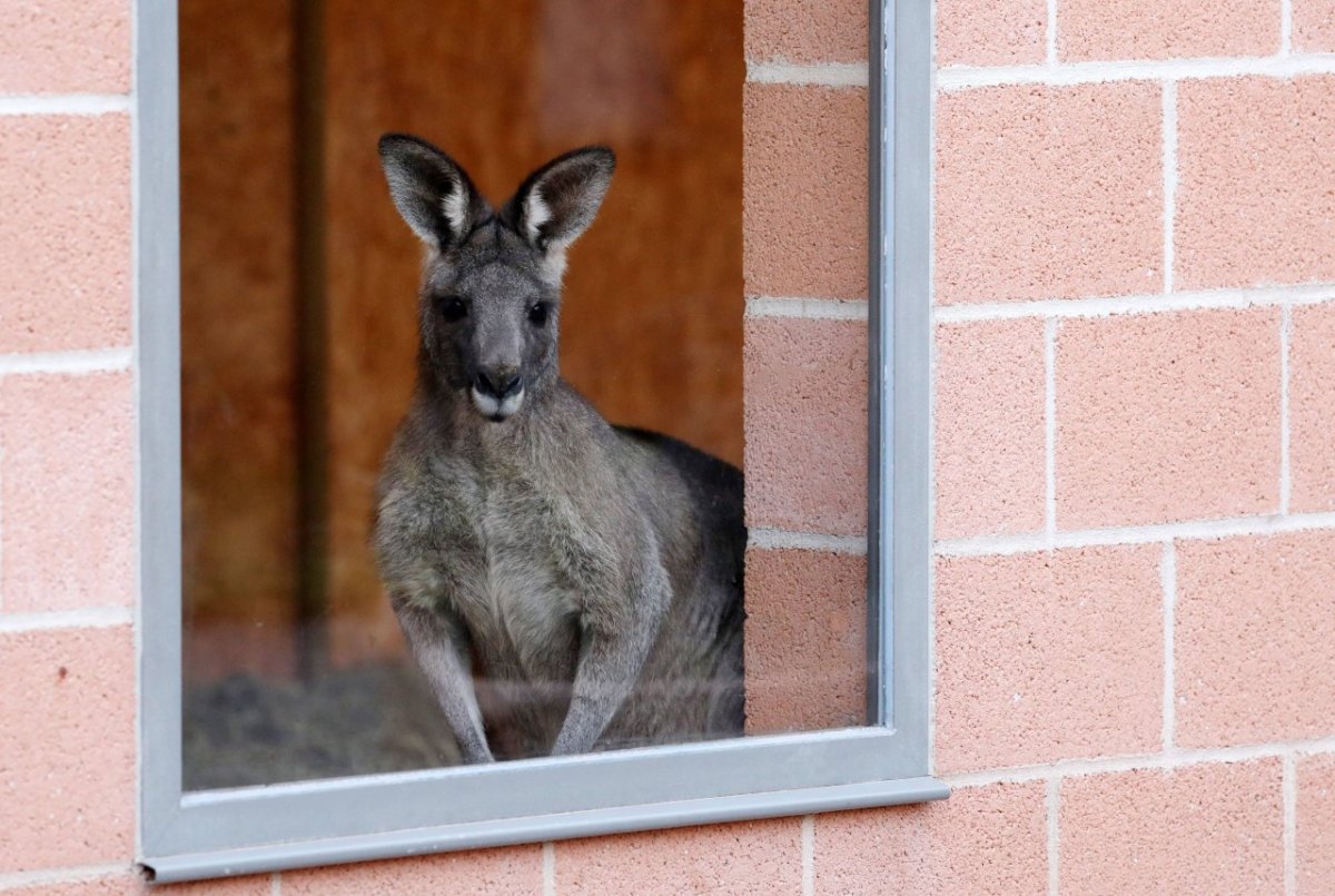 Zoo Erfurt