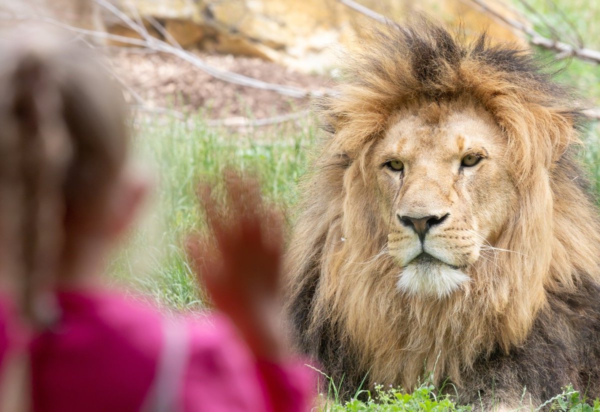 Zoo Tierpark.jpg